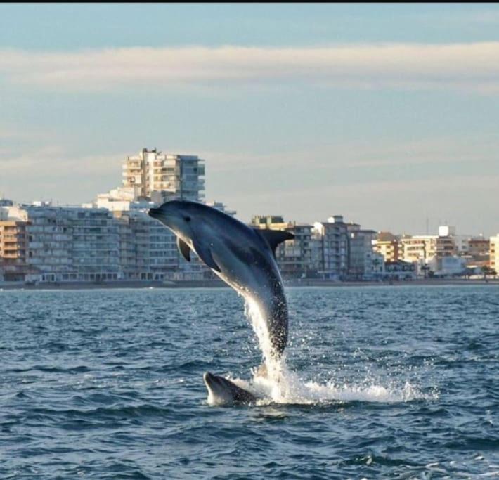 Chalet Adosado En La Playa De El Perellonet Con Piscina, Pista Tenis Valencia Exteriör bild